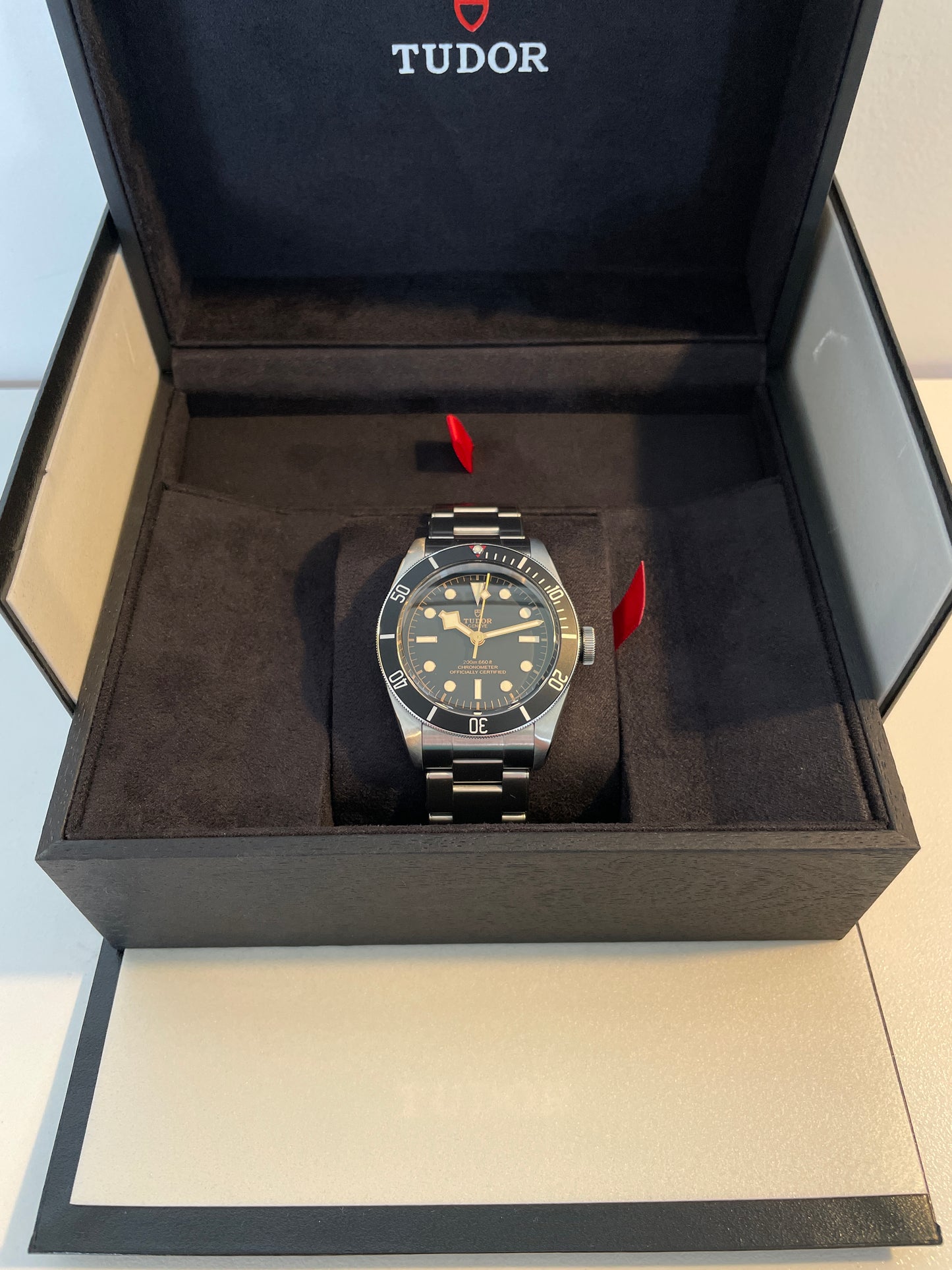 Tudor Black Bay 41mm Gilt