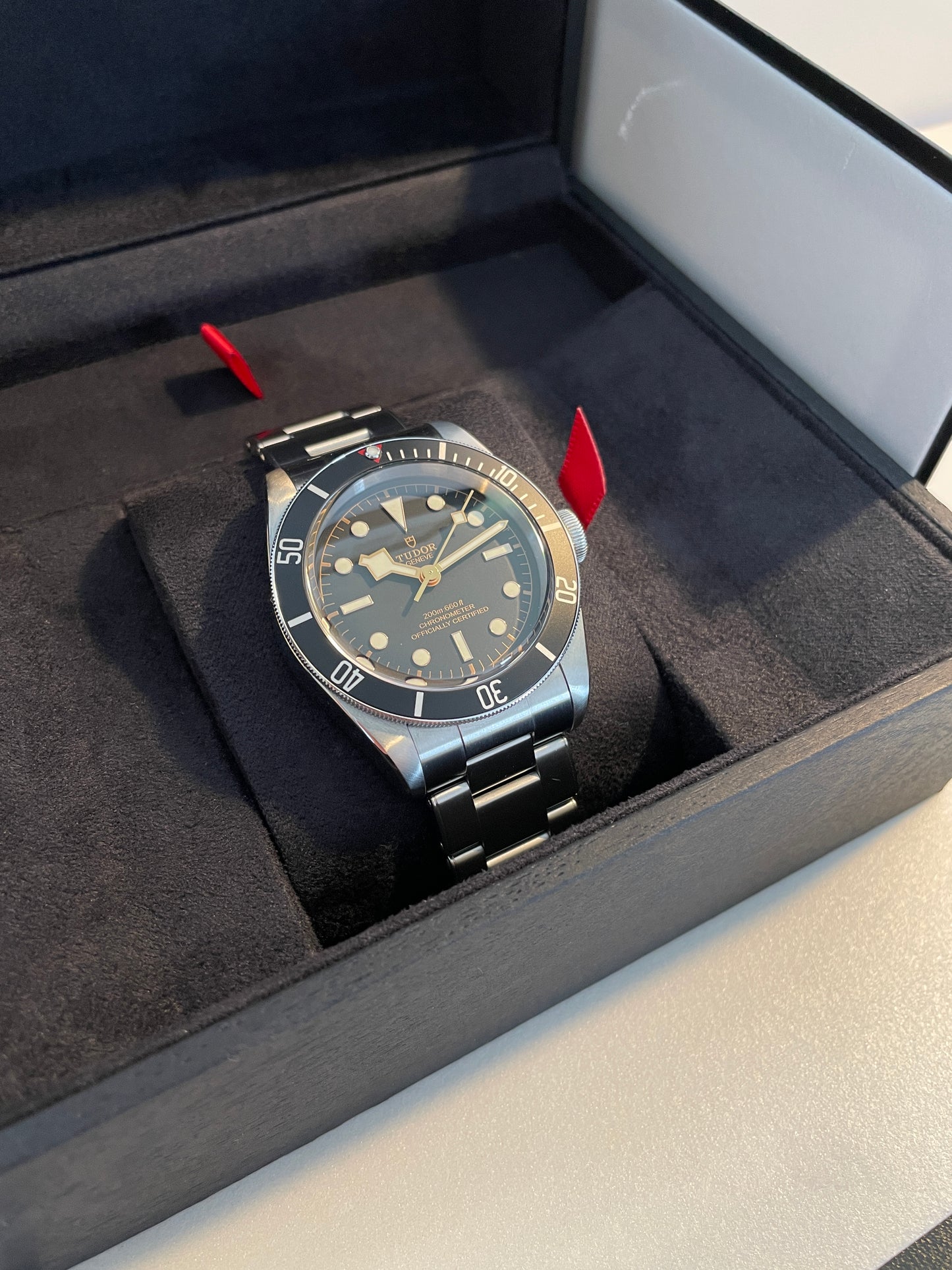 Tudor Black Bay 41mm Gilt