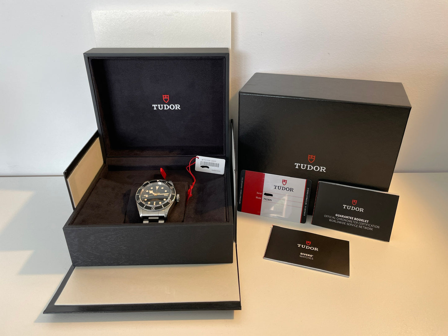 Tudor Black Bay 41mm Gilt